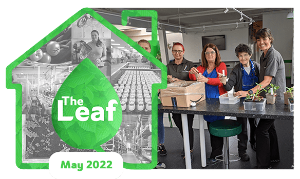 The Leaf: Issue 12 May 2022 – Springtime is Showtime for Biodiversity