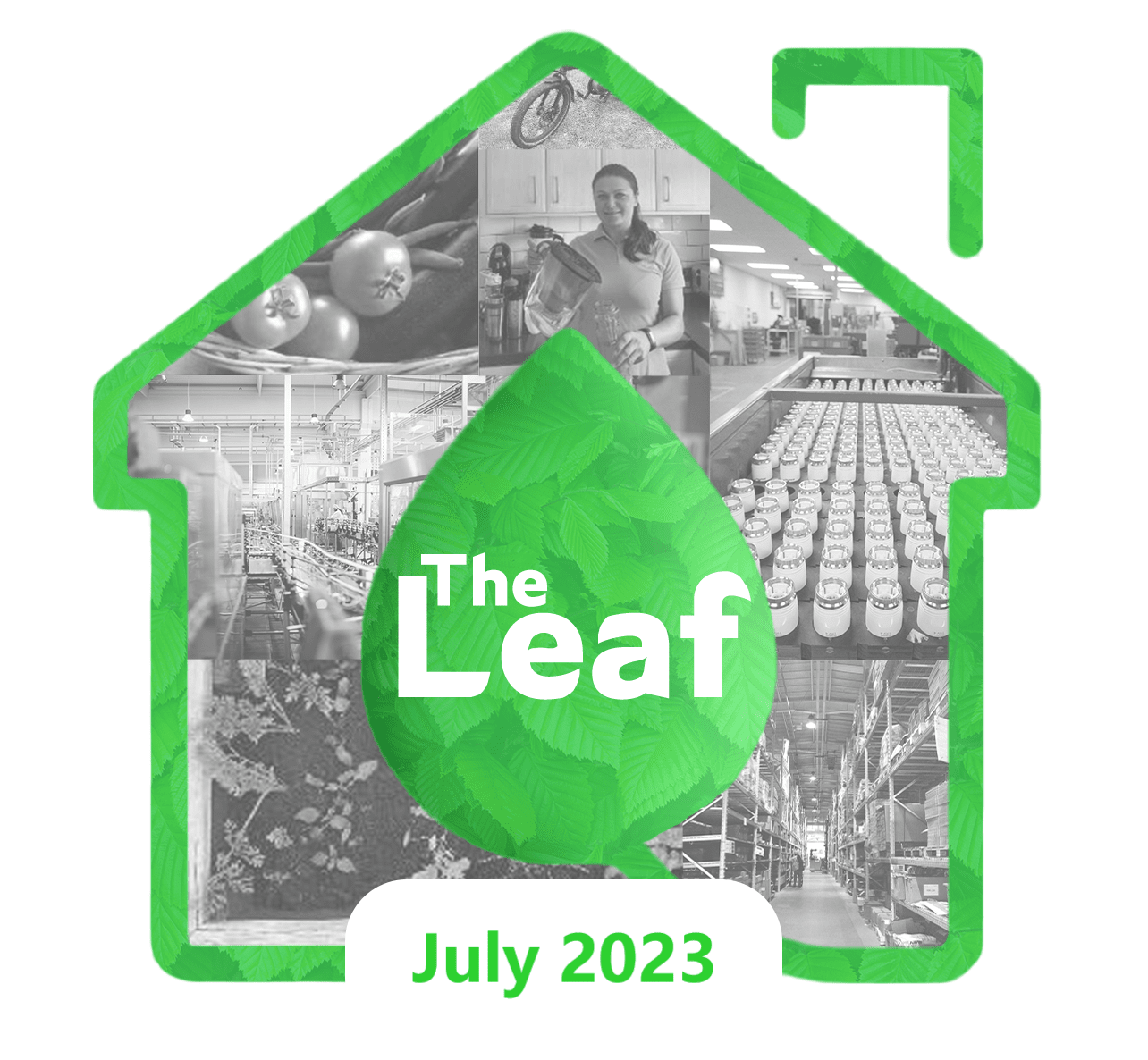 The Leaf: Issue 15 July 2023 – Summer Sustainability Newsletter – Staff Wellbeing & Award-Winning Energy Reduction